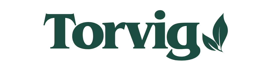 Torvig