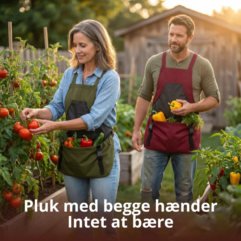 Billede med tekst